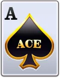 Wild Ace Paytable