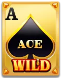 Wild Ace Paytable